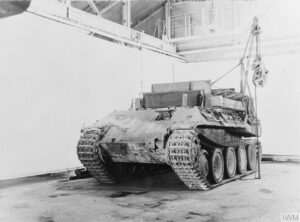 Bergepanther